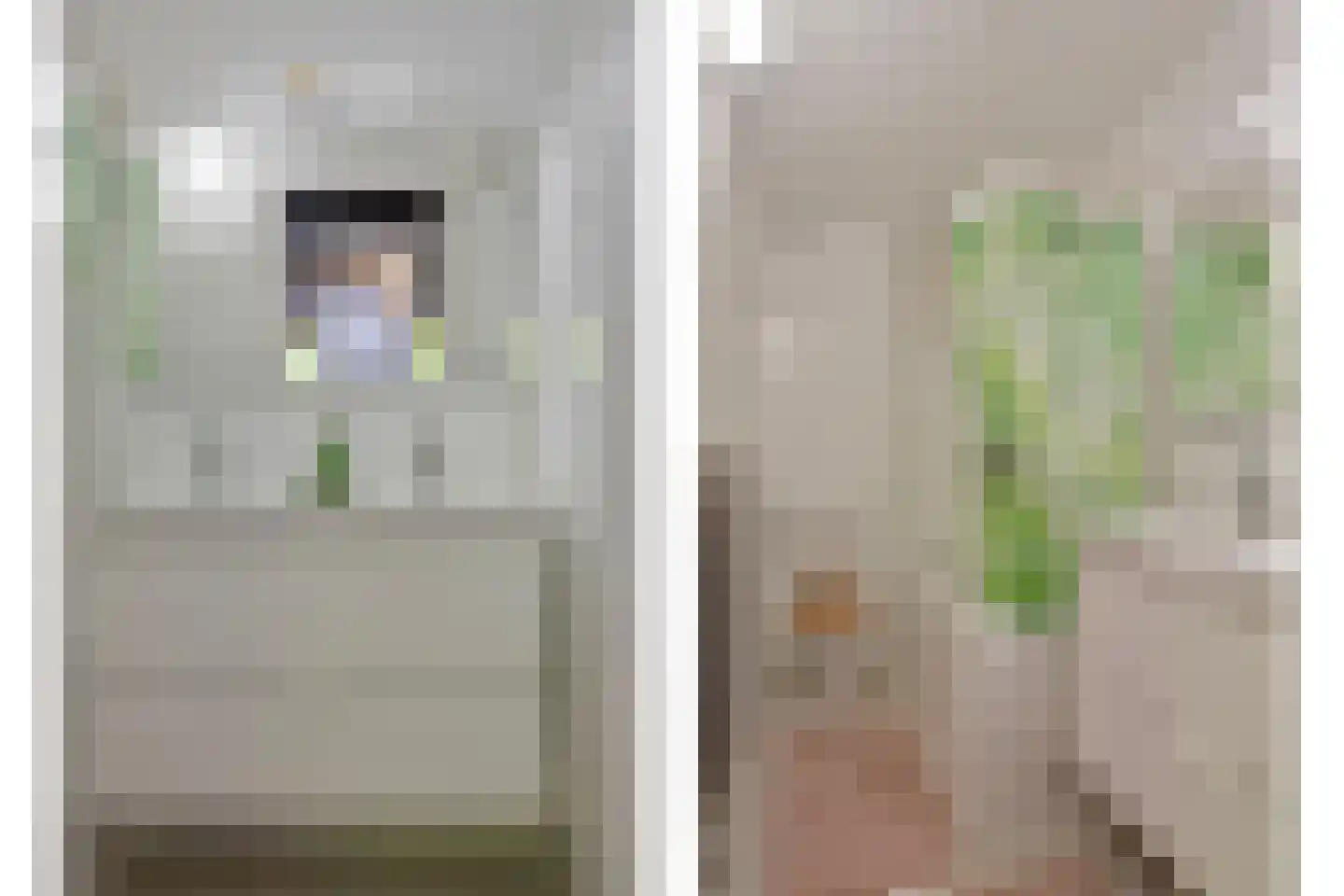 Nieuwe Es 21 Borne thumbnail 21