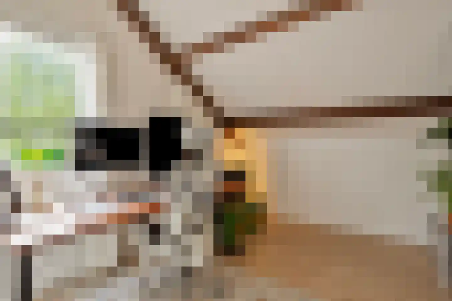Nieuwe Es 21 Borne thumbnail 22