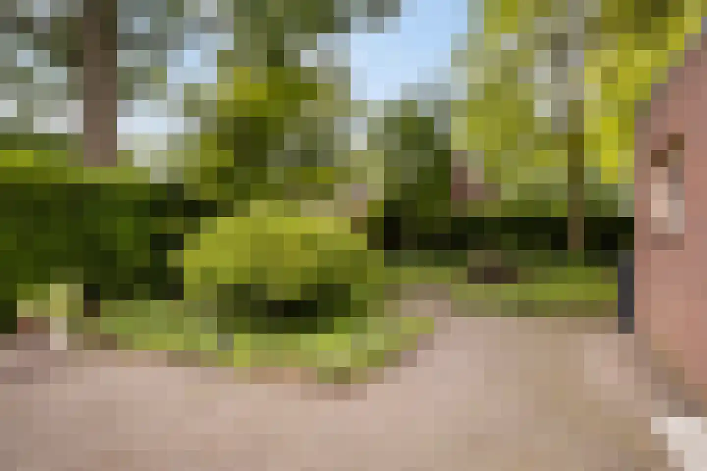 Nieuwe Es 21 Borne thumbnail 24