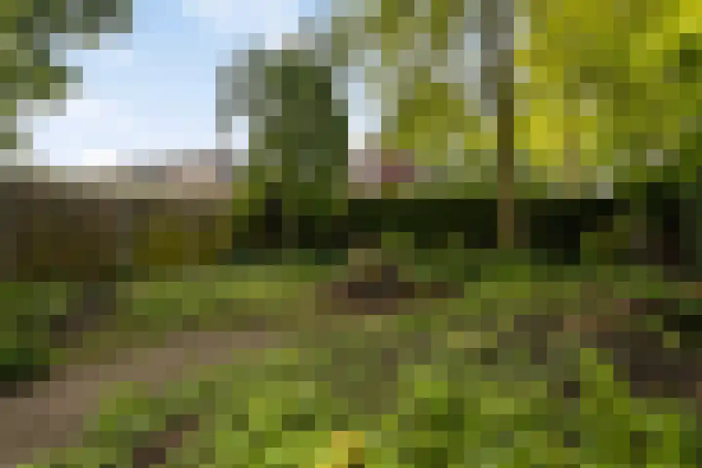 Nieuwe Es 21 Borne thumbnail 27