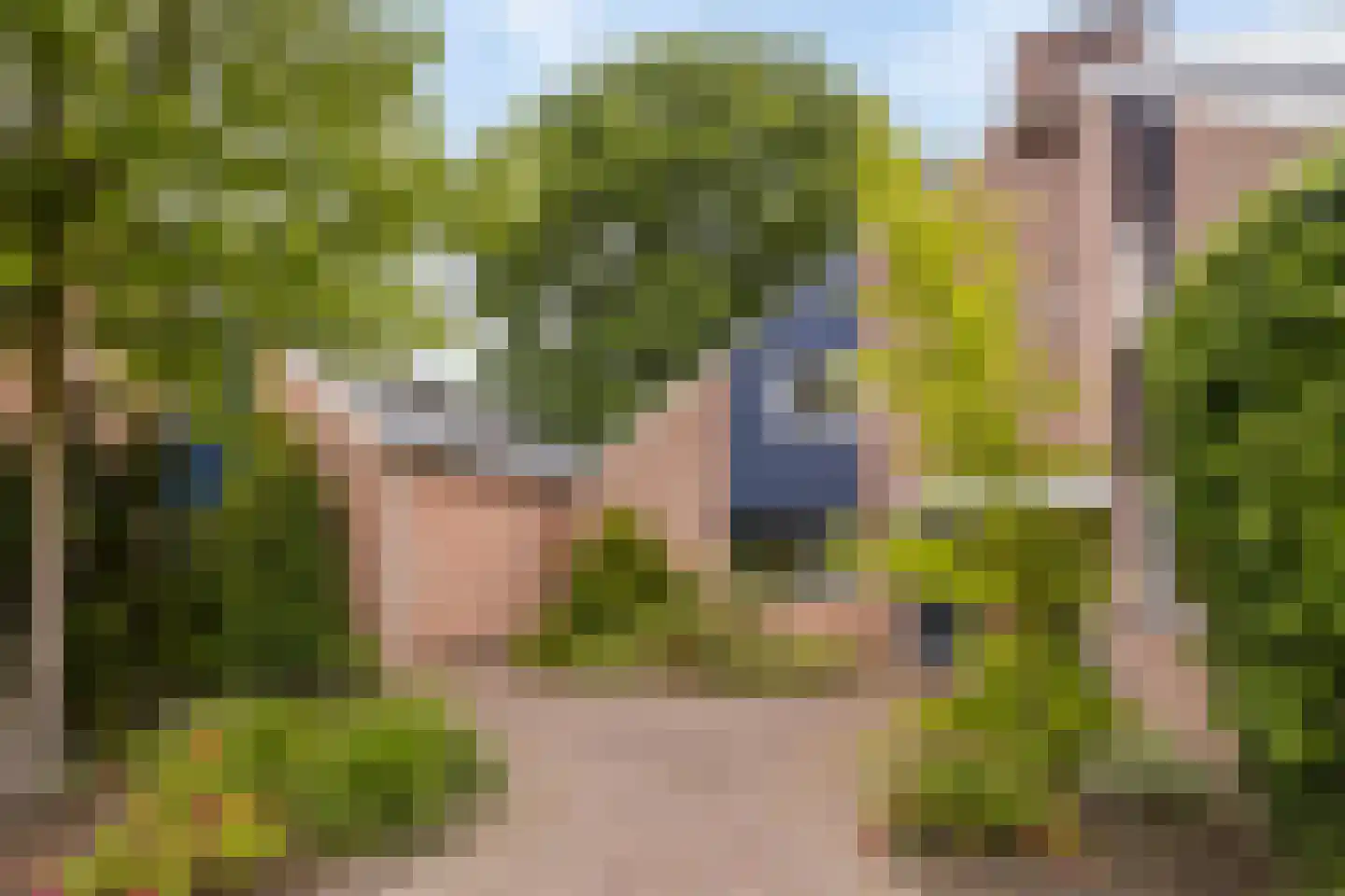 Nieuwe Es 21 Borne thumbnail 28