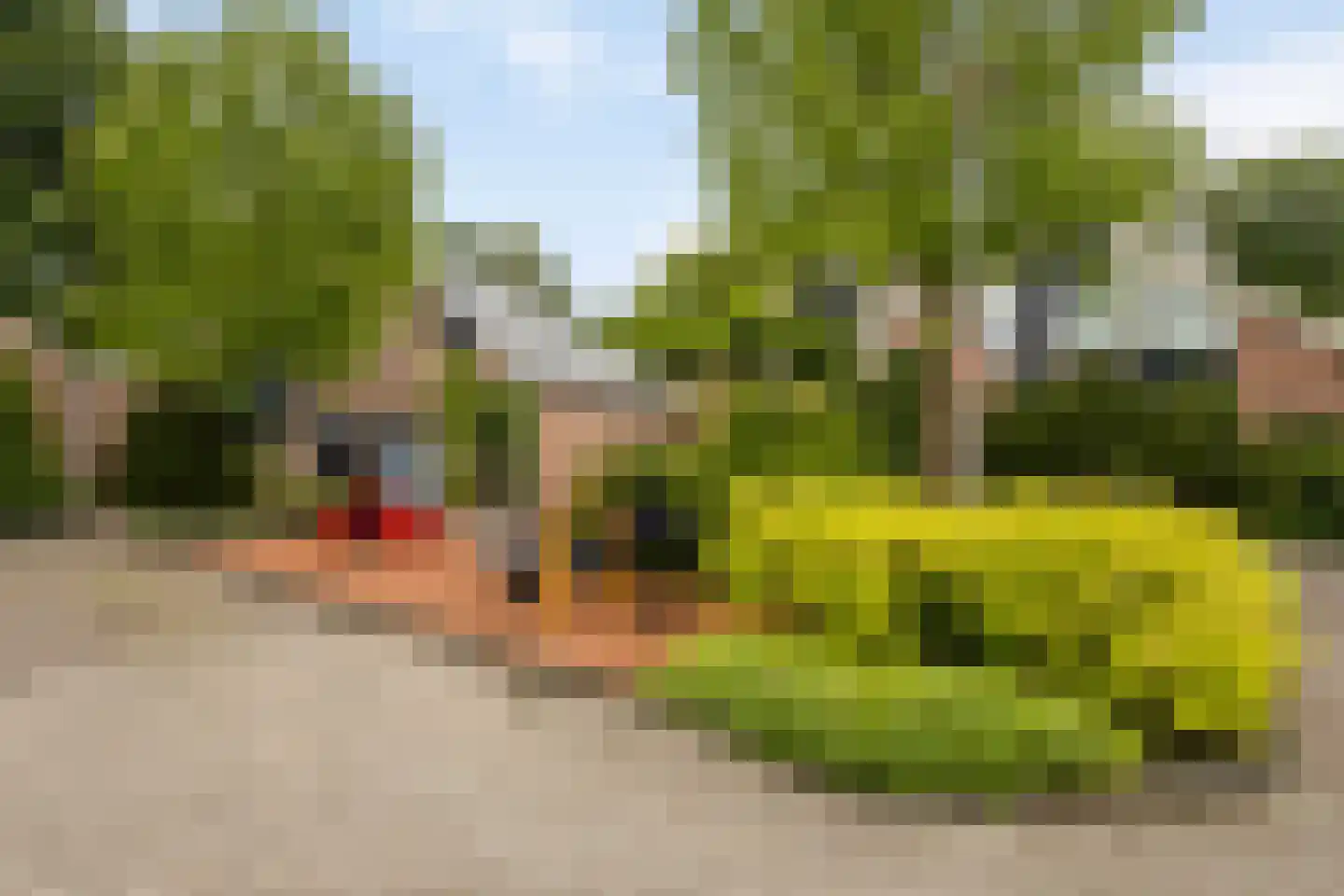 Nieuwe Es 21 Borne thumbnail 30