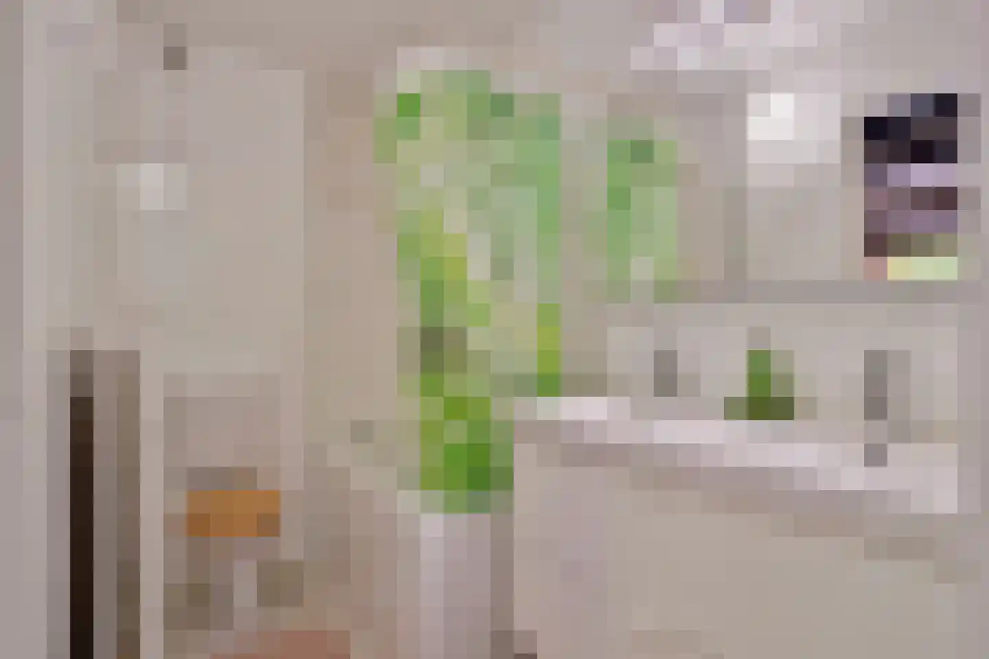 Nieuwe Es 21 Borne thumbnail 4