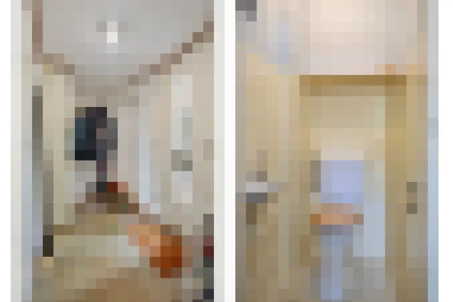 Nieuwe Es 21 Borne thumbnail 7