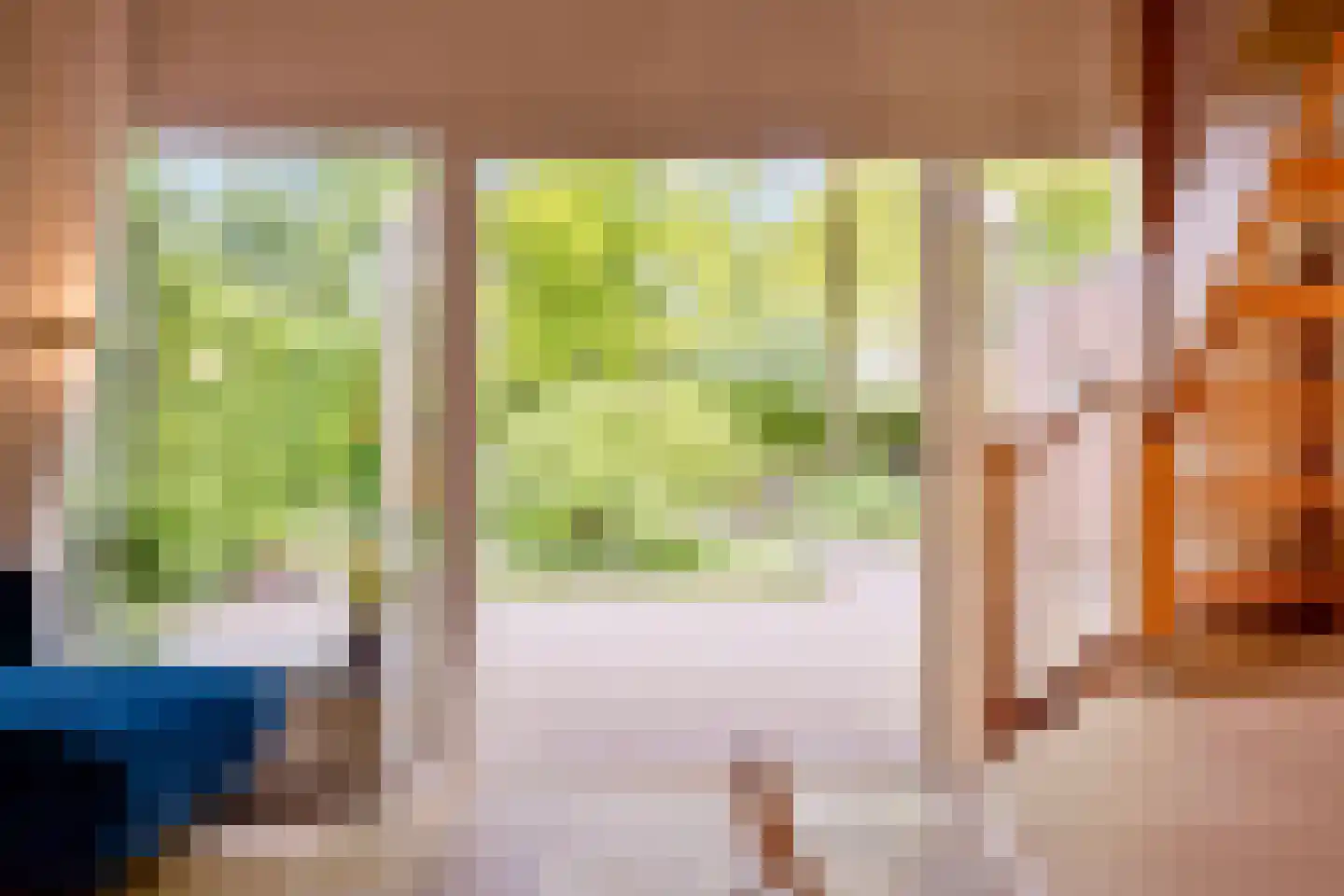 Nieuwe Es 21 Borne thumbnail 9