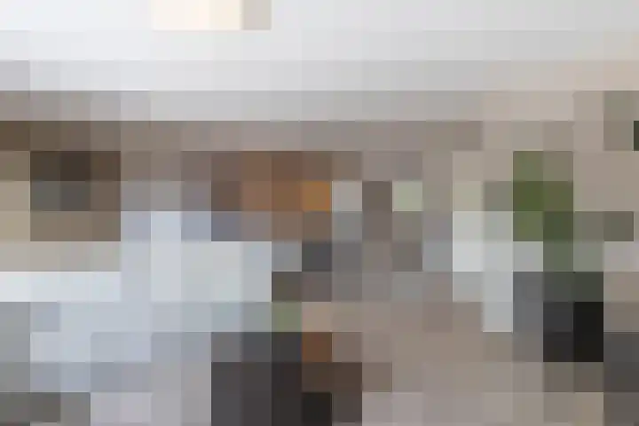 Nieuwe Es 4 Sleeuwijk thumbnail 15