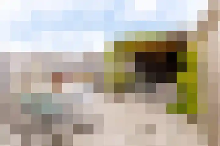 Nieuwe Es 4 Sleeuwijk foto 2