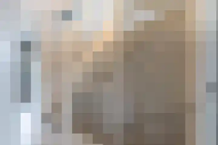 Nieuwe Es 4 Sleeuwijk thumbnail 22