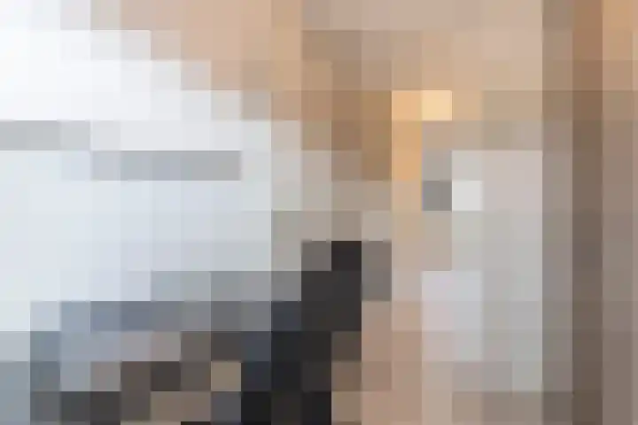 Nieuwe Es 4 Sleeuwijk thumbnail 24