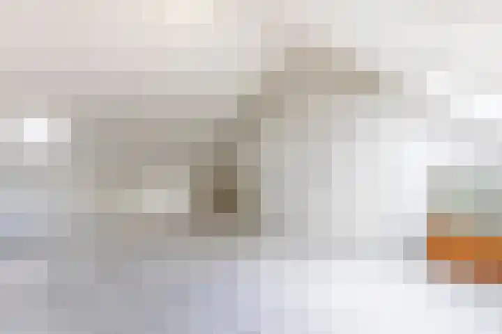Nieuwe Es 4 Sleeuwijk thumbnail 31