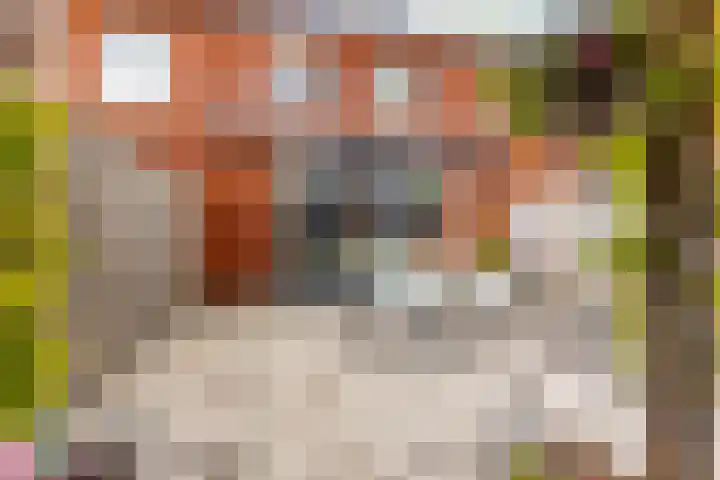 Nieuwe Es 4 Sleeuwijk thumbnail 35