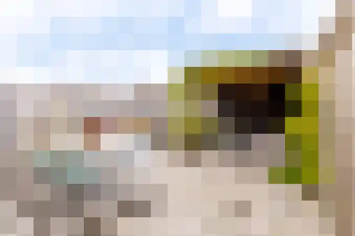 Nieuwe Es 4 Sleeuwijk thumbnail 36