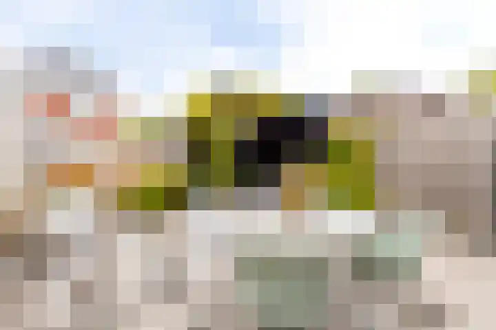 Nieuwe Es 4 Sleeuwijk thumbnail 37