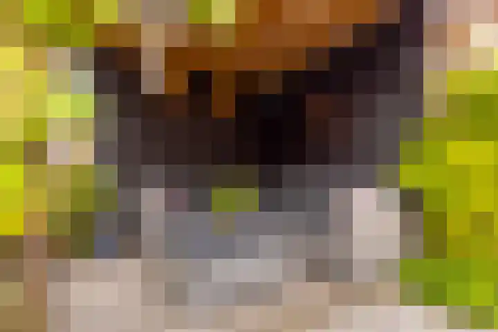 Nieuwe Es 4 Sleeuwijk thumbnail 38