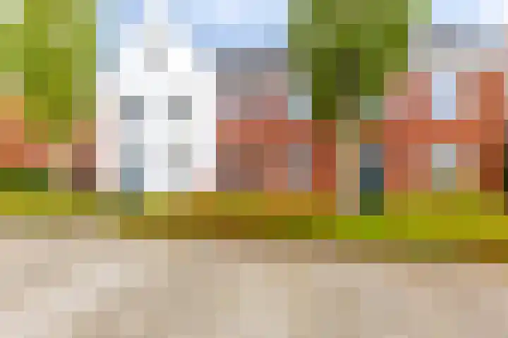 Nieuwe Es 4 Sleeuwijk thumbnail 5