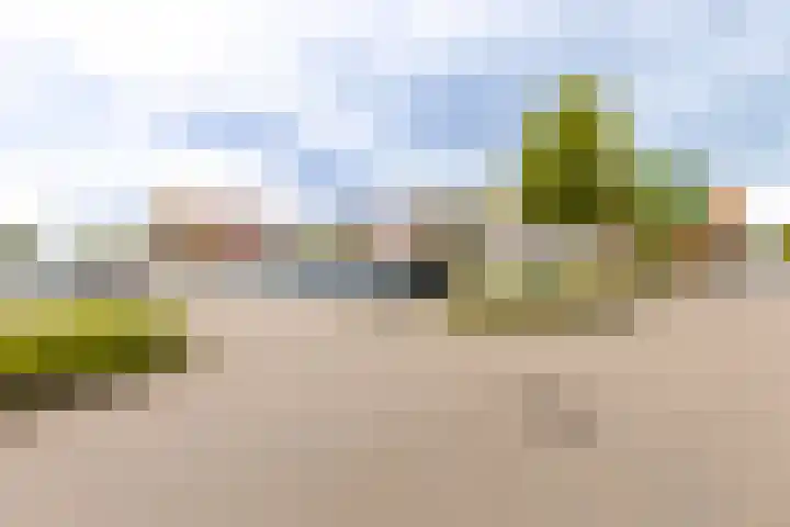Nieuwe Es 4 Sleeuwijk thumbnail 8