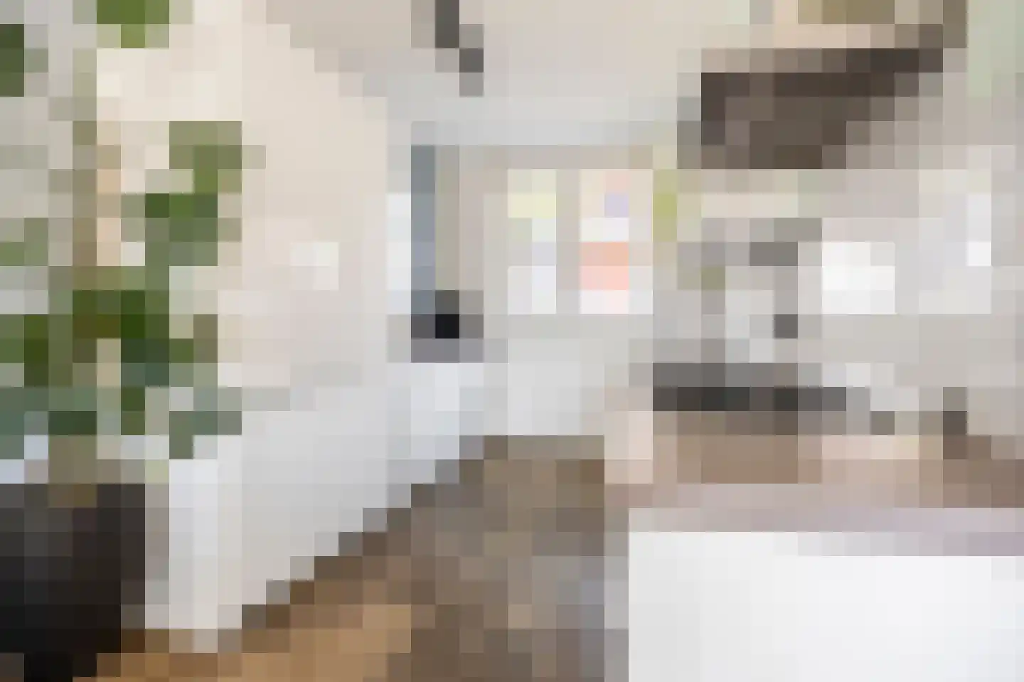 Nieuwe Es 42 Sleeuwijk thumbnail 6