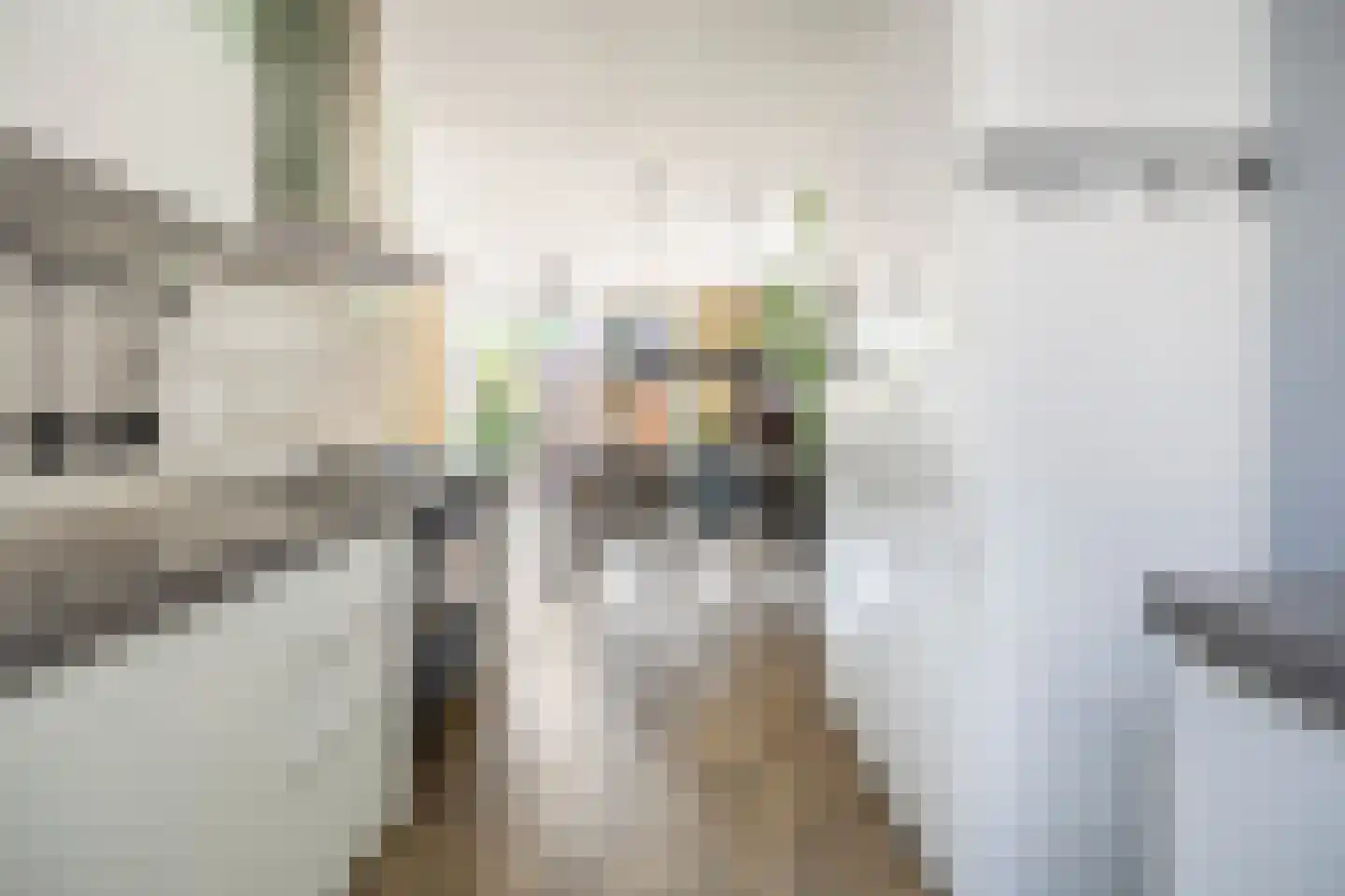 Nieuwe Es 42 Sleeuwijk thumbnail 7
