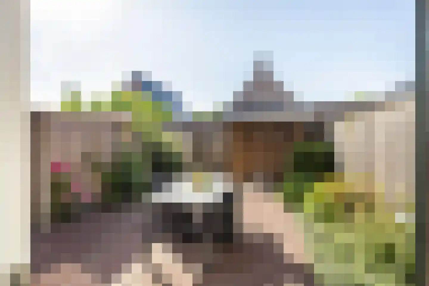 Nieuwe Es 42 Sleeuwijk thumbnail 8