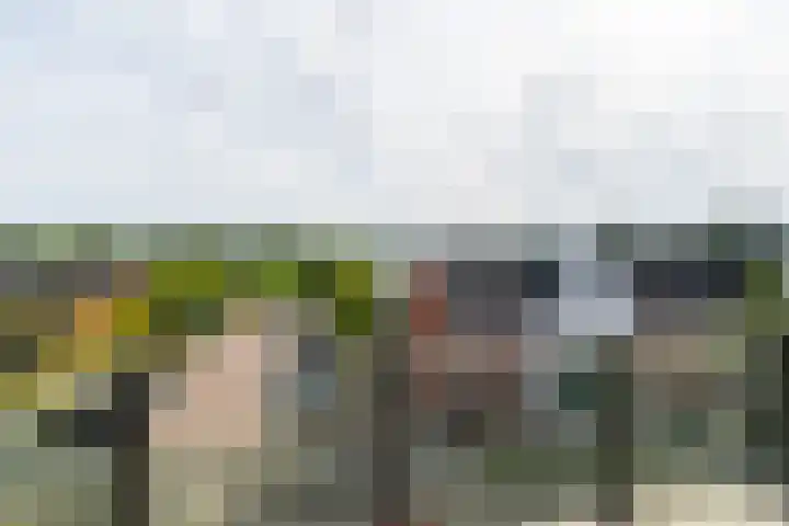 Nieuwe Es 57 Sleeuwijk thumbnail 18