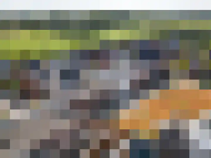 Nieuwe Es 57 Sleeuwijk thumbnail 37