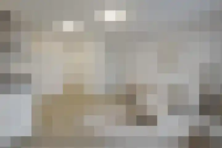 Nieuwe Fellenoord 1 B Eindhoven thumbnail 10