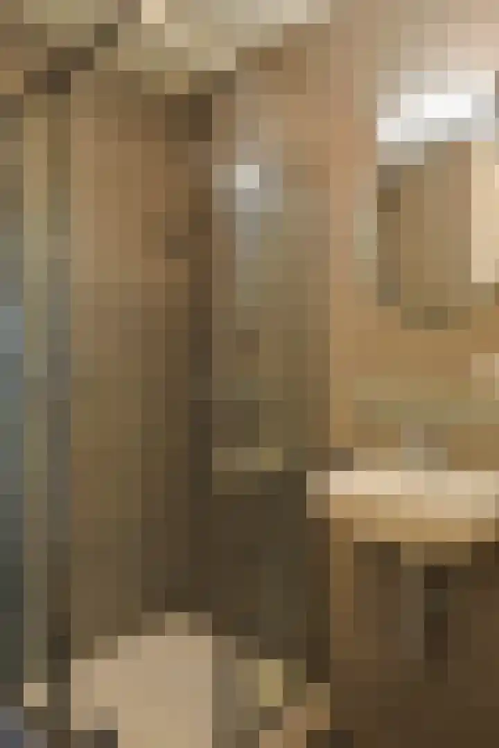 Nieuwe Fellenoord 1 C Eindhoven thumbnail 16