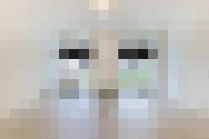 Nieuwe Fellenoord 1 C Eindhoven thumbnail 5