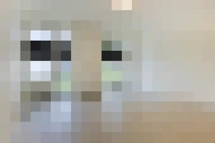 Nieuwe Fellenoord 1 C Eindhoven thumbnail 6
