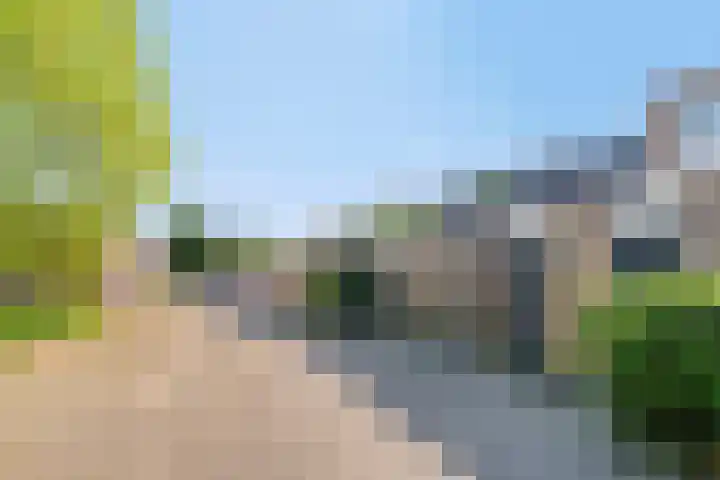 Nieuwe Fellenoord 19 Eindhoven thumbnail 11