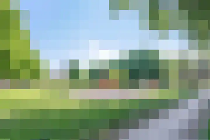 Nieuwe Fellenoord 19 Eindhoven thumbnail 13