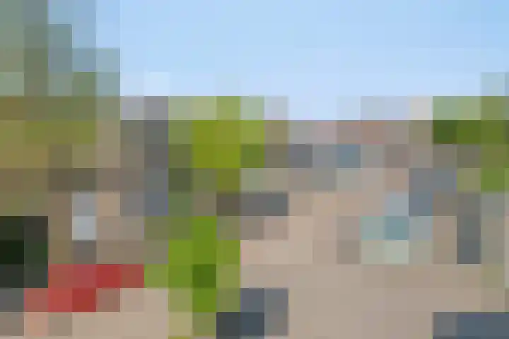Nieuwe Fellenoord 19 Eindhoven thumbnail 6