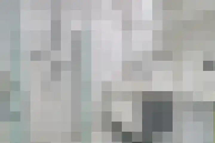Nieuwe Fellenoord 19 Eindhoven thumbnail 9