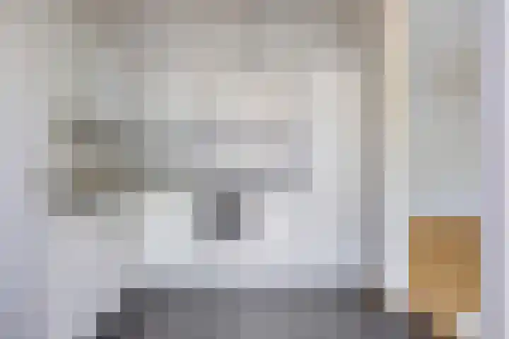 Nieuwe Fellenoord 57 Eindhoven thumbnail 11