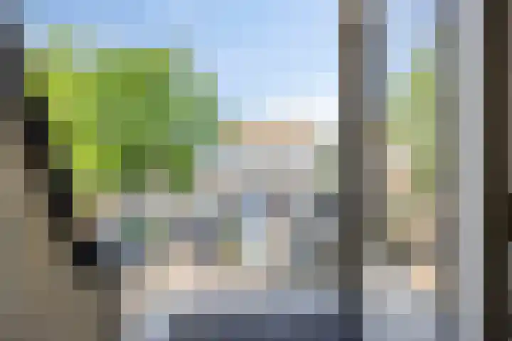 Nieuwe Fellenoord 57 Eindhoven thumbnail 12