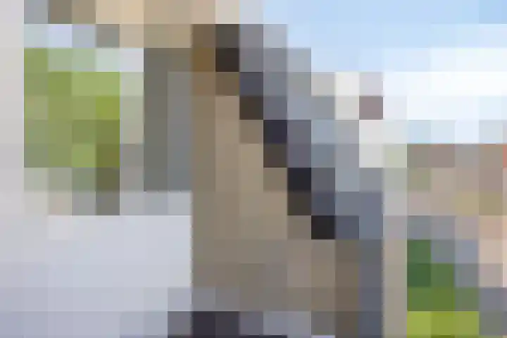 Nieuwe Fellenoord 57 Eindhoven thumbnail 13