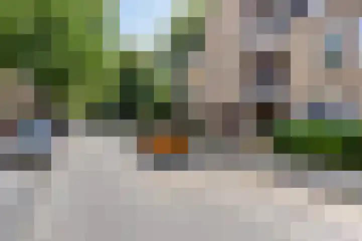 Nieuwe Fellenoord 57 Eindhoven thumbnail 22