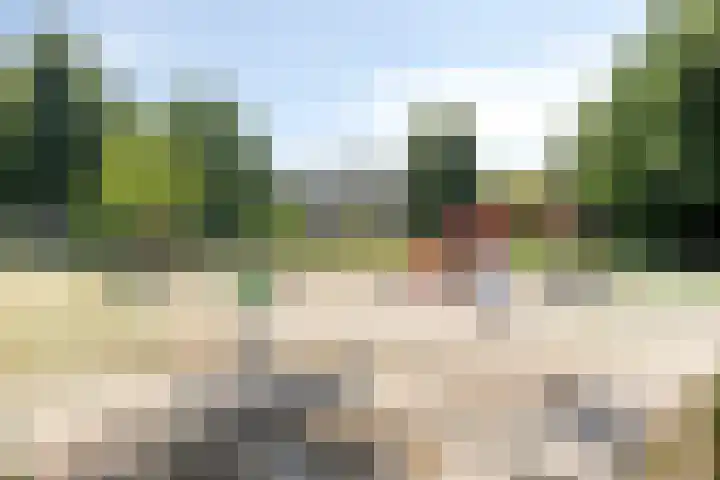 Nieuwe Fellenoord 57 Eindhoven thumbnail 23