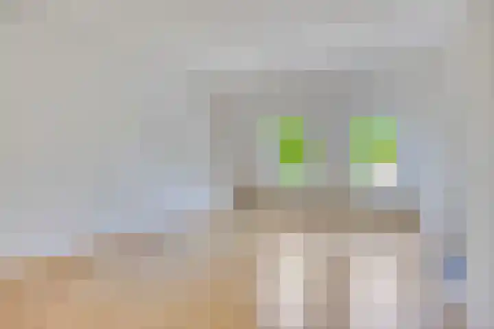 Nieuwe Fellenoord 57 Eindhoven thumbnail 5
