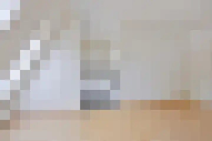 Nieuwe Fellenoord 57 Eindhoven thumbnail 9