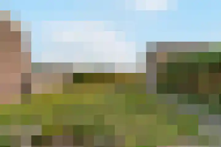 Nieuwe Fluitersmaatscheweg 12 Renkum thumbnail 20