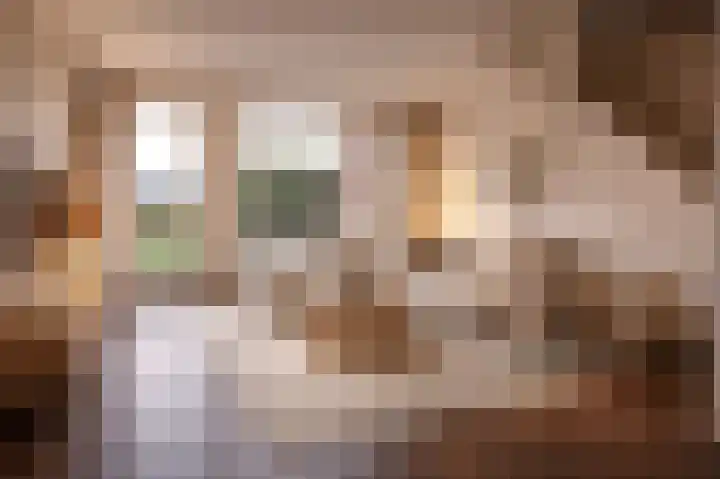Nieuwe Fluitersmaatscheweg 12 Renkum thumbnail 6
