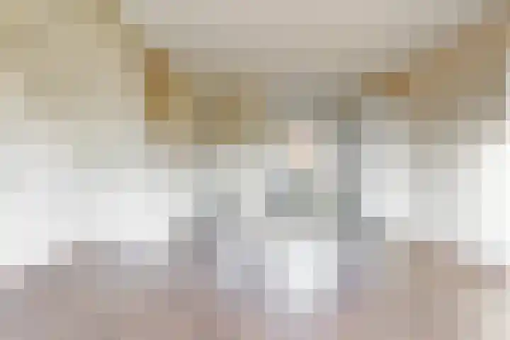 Nieuwe Fluitersmaatscheweg 12 Renkum thumbnail 7