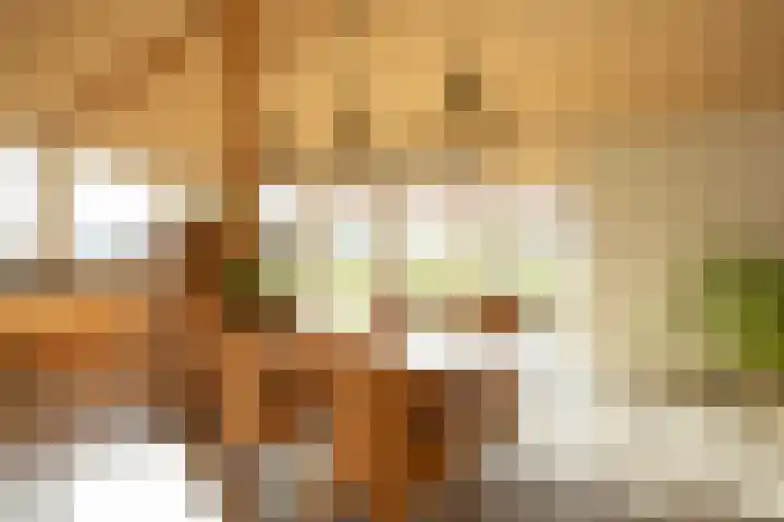 Nieuwe Fluitersmaatscheweg 20 Renkum thumbnail 10