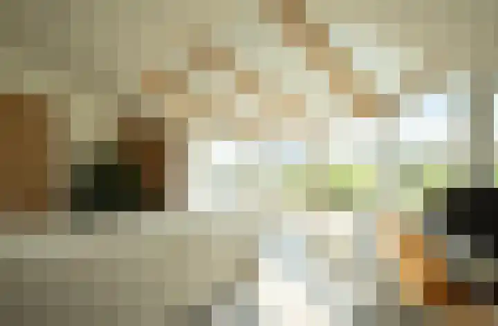 Nieuwe Fluitersmaatscheweg 20 Renkum thumbnail 13