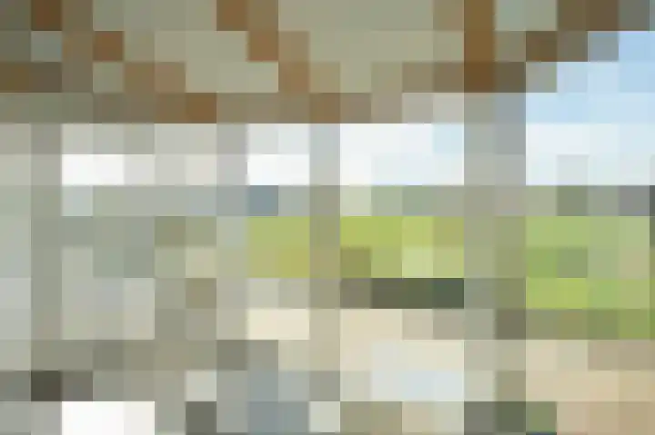 Nieuwe Fluitersmaatscheweg 20 Renkum thumbnail 14