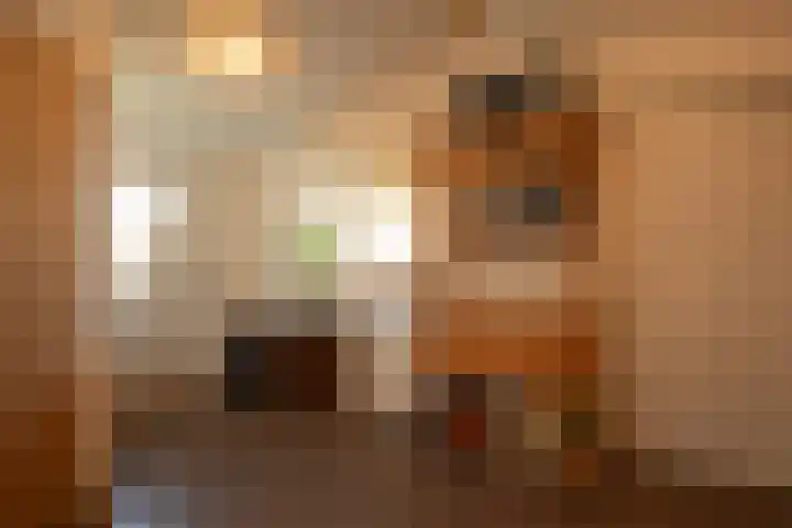 Nieuwe Fluitersmaatscheweg 20 Renkum thumbnail 25