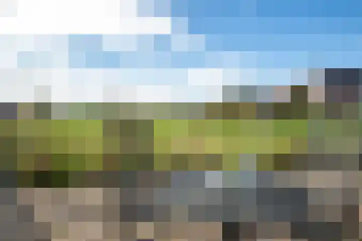 Nieuwe Fluitersmaatscheweg 20 Renkum thumbnail 30