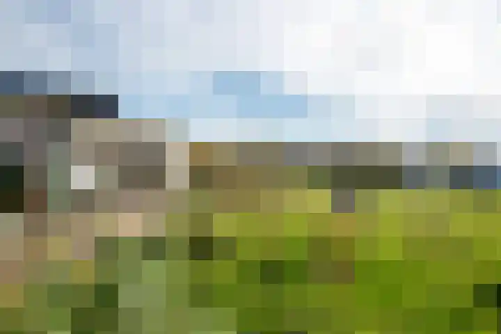 Nieuwe Fluitersmaatscheweg 20 Renkum thumbnail 31