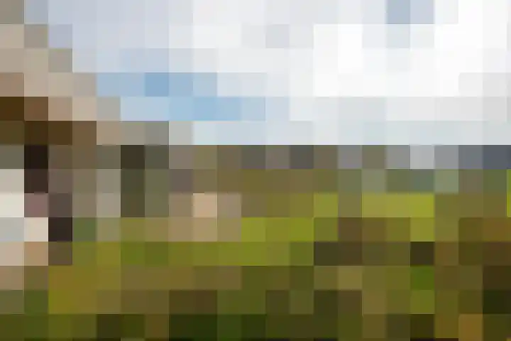 Nieuwe Fluitersmaatscheweg 20 Renkum thumbnail 32